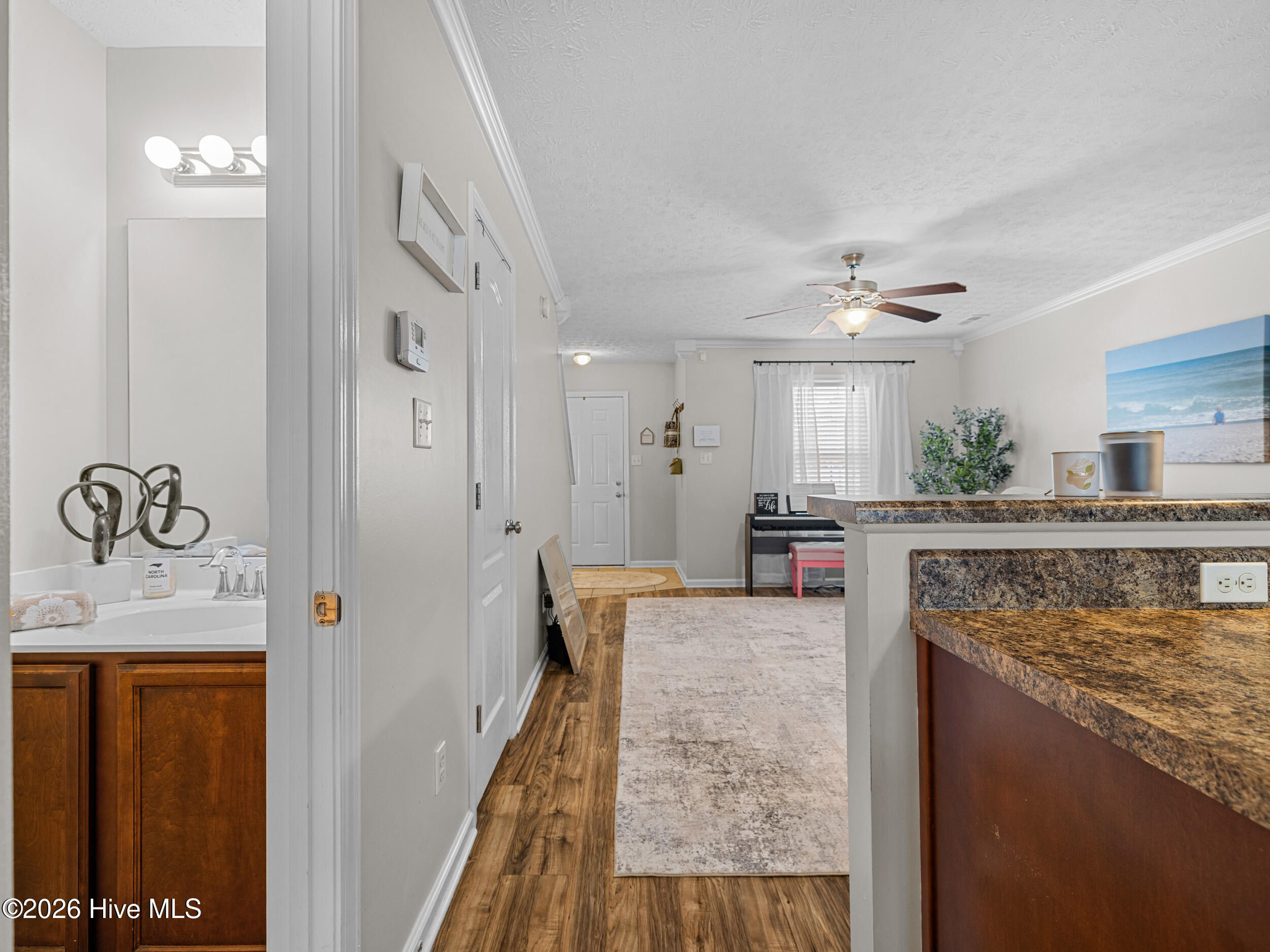 229 Glen Cannon Drive