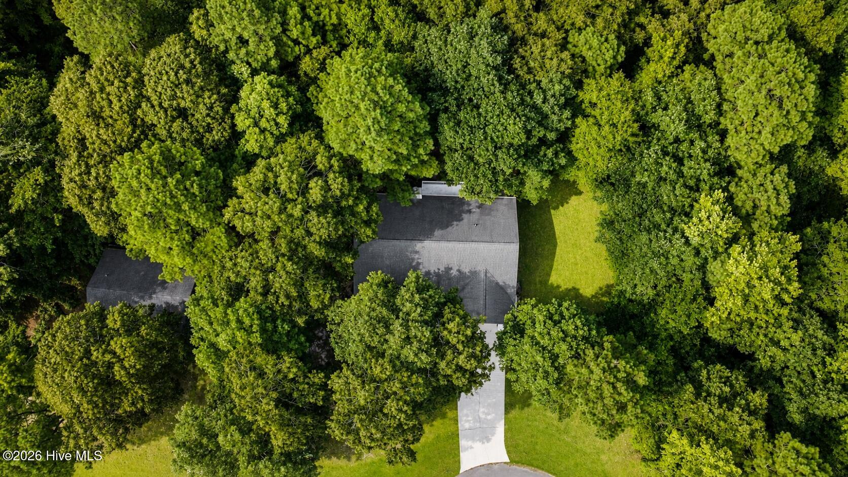 309 Foliage Court