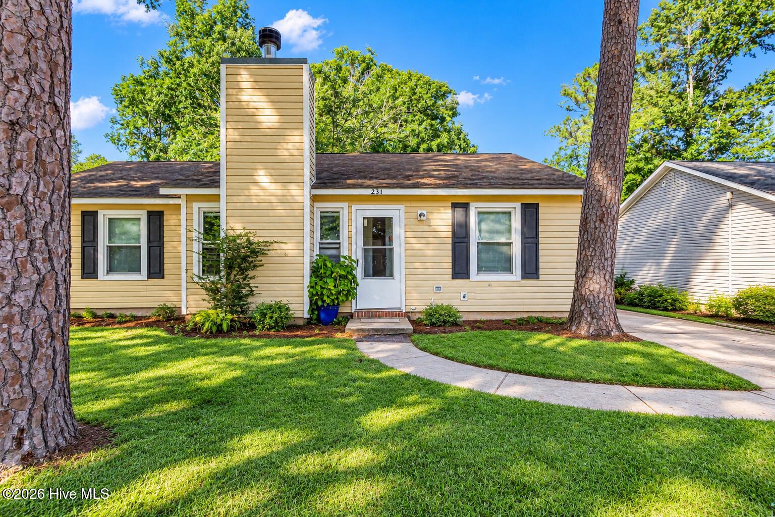 231 Easy Street