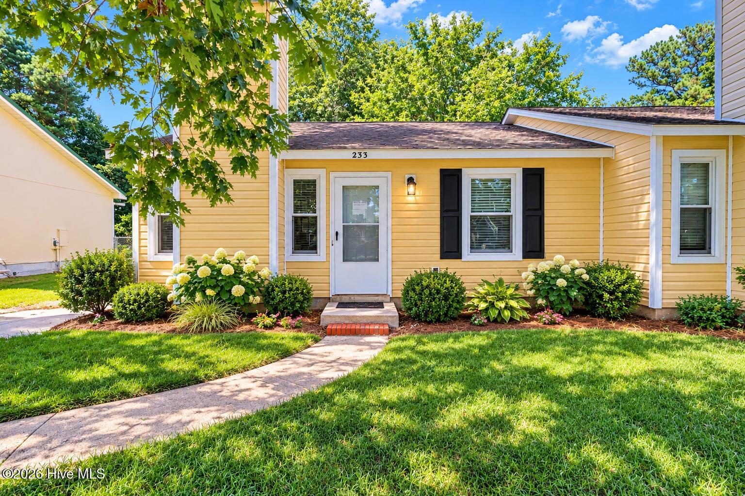 233 Easy Street