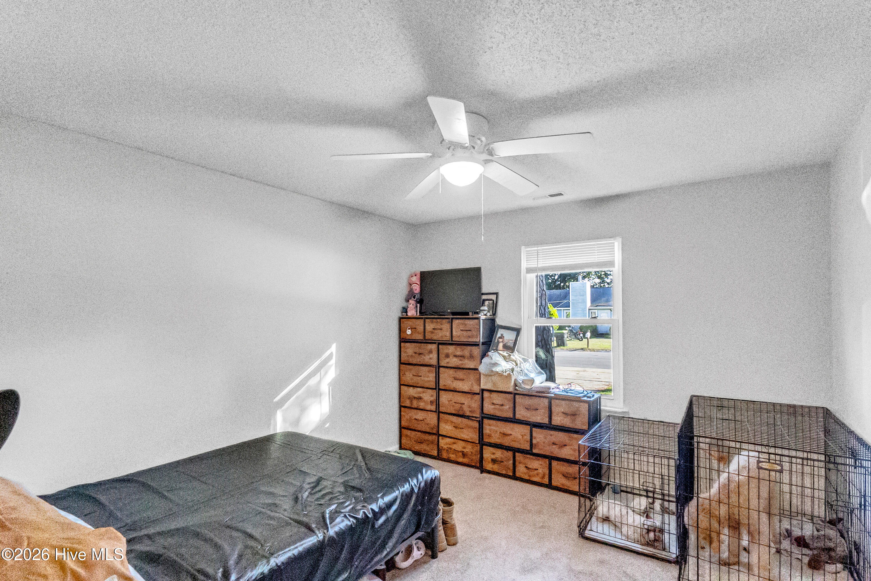 233 Easy Street