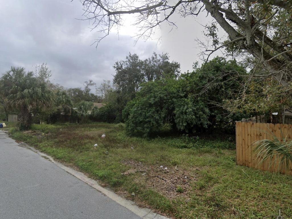 809 Palm Bluff Street