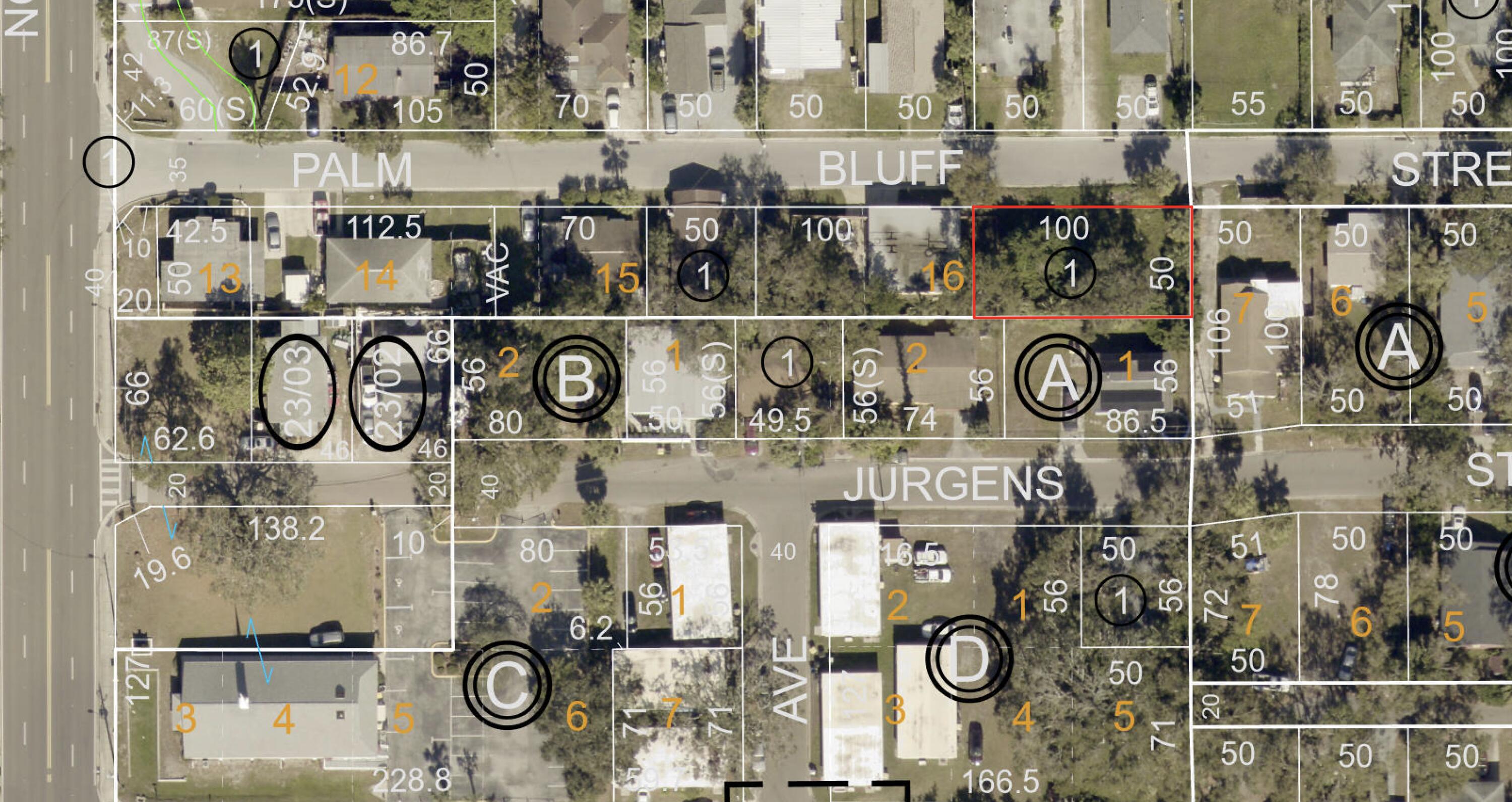 809 Palm Bluff Street