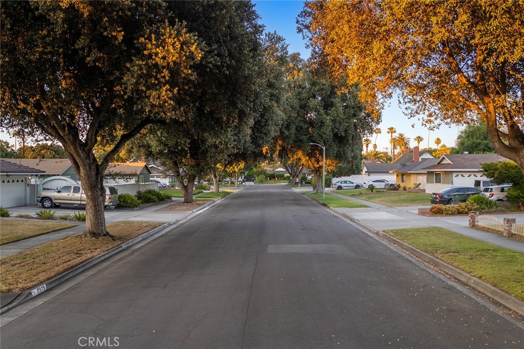 7985 Stella Street