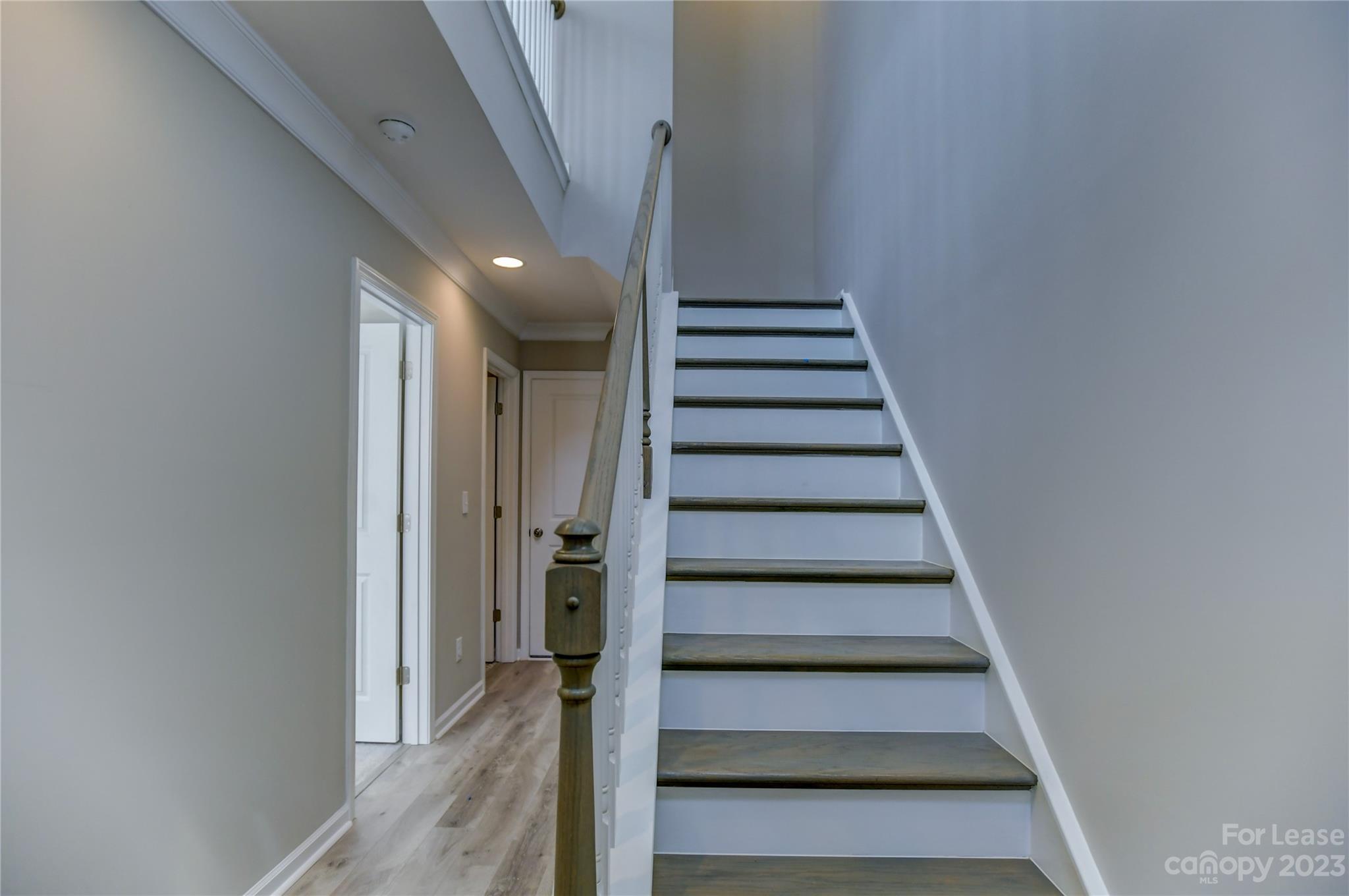 414 Grey Reagan Trail