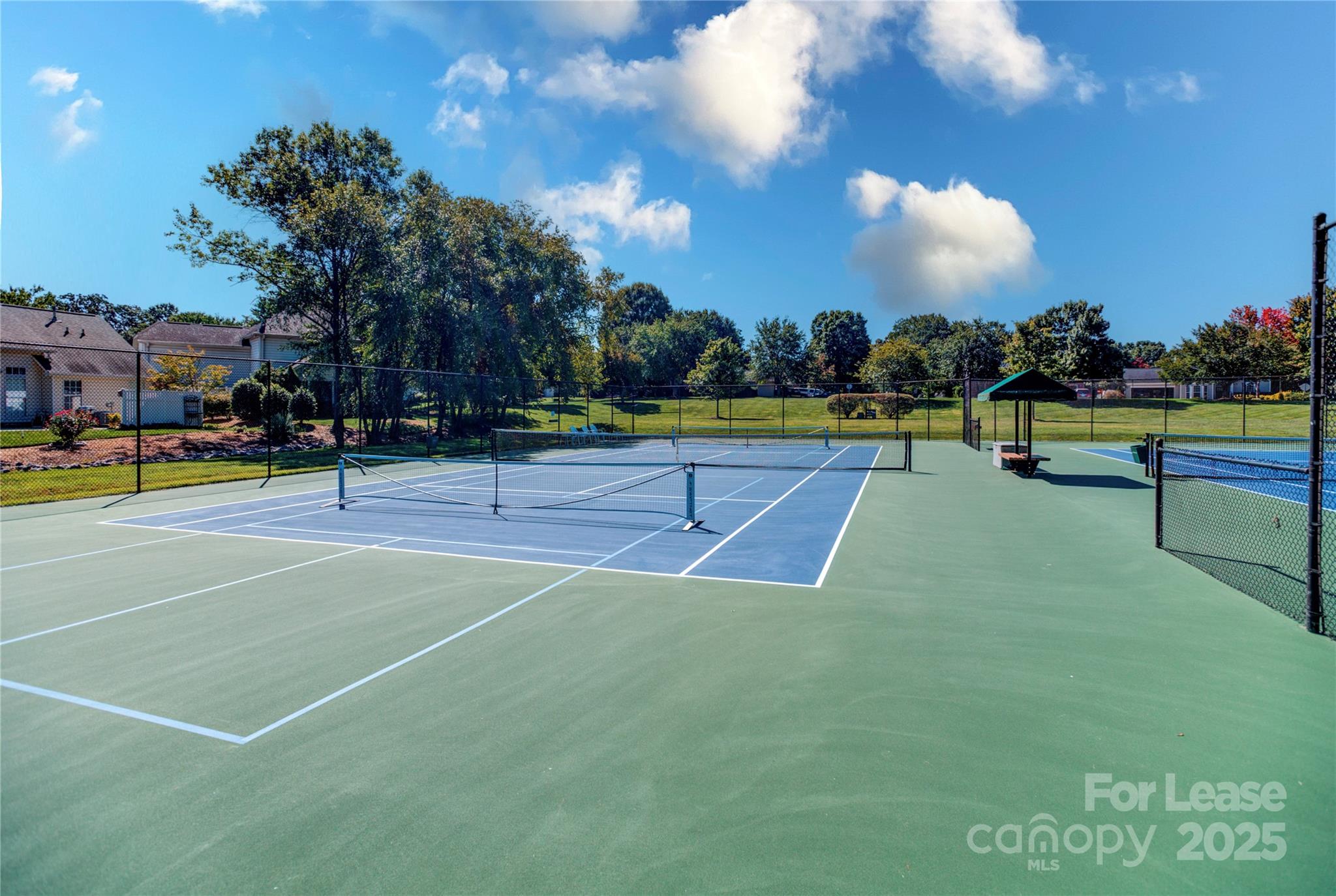 18663 Vineyard Point Lane