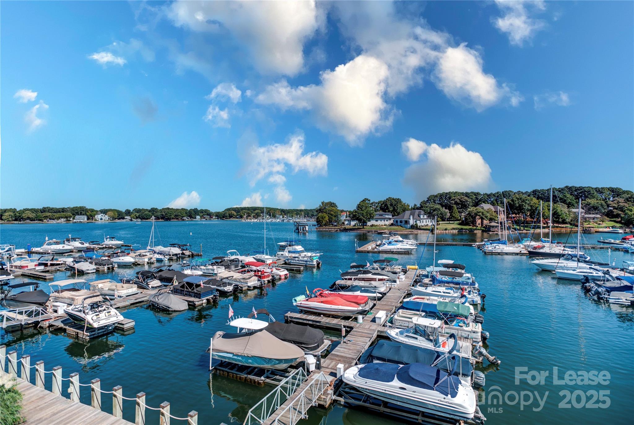 18663 Vineyard Point Lane