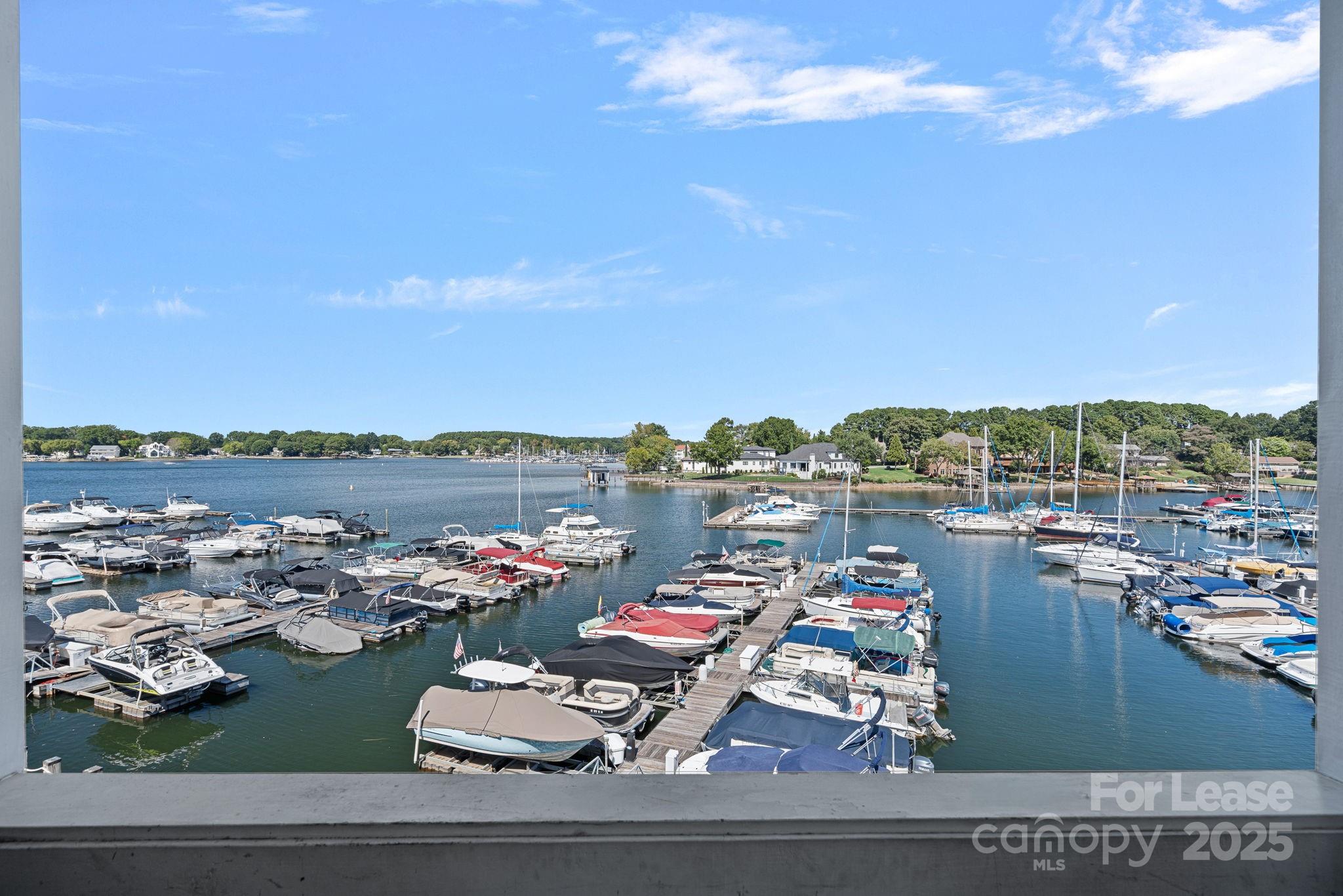 18663 Vineyard Point Lane