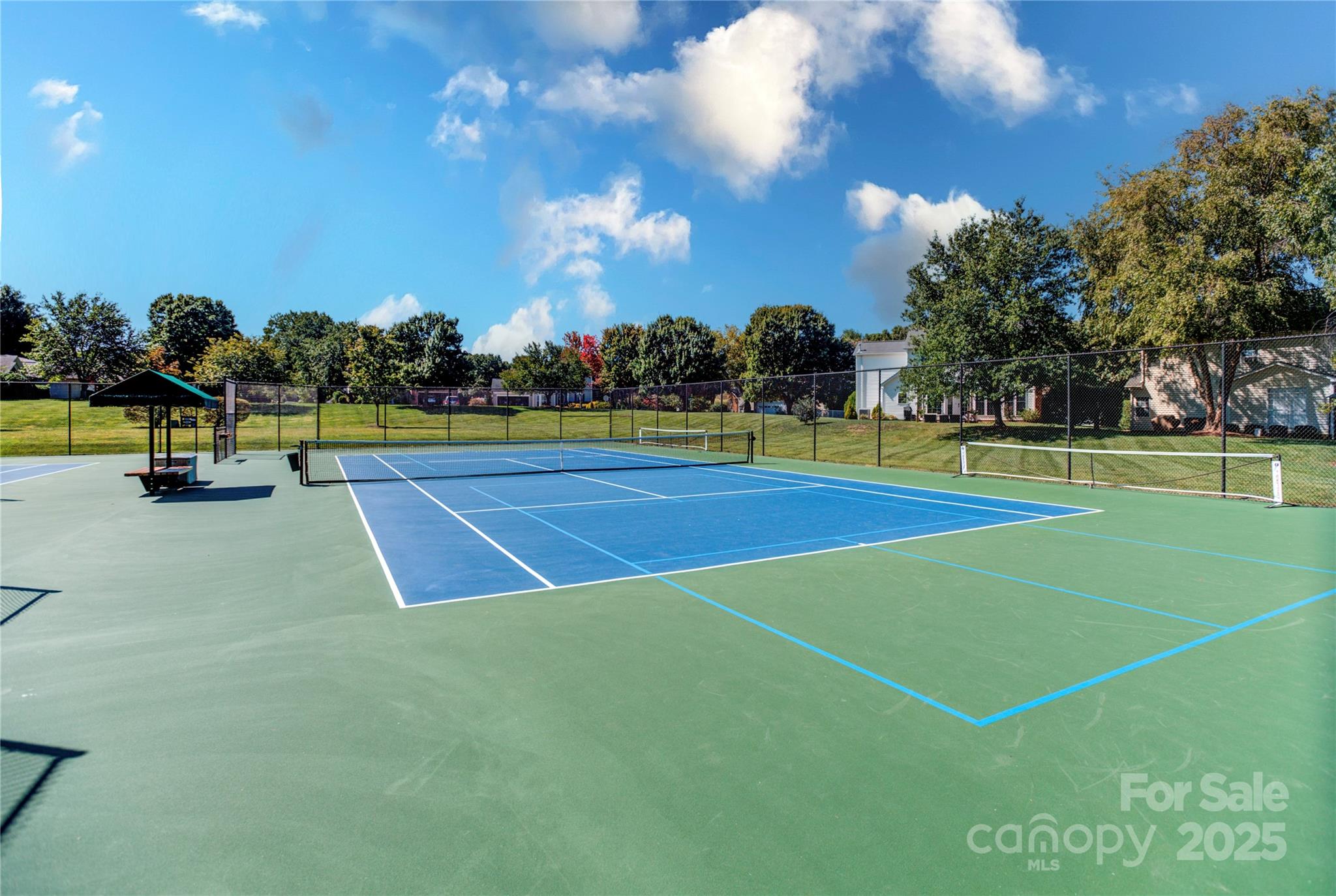 18673 Vineyard Point Lane