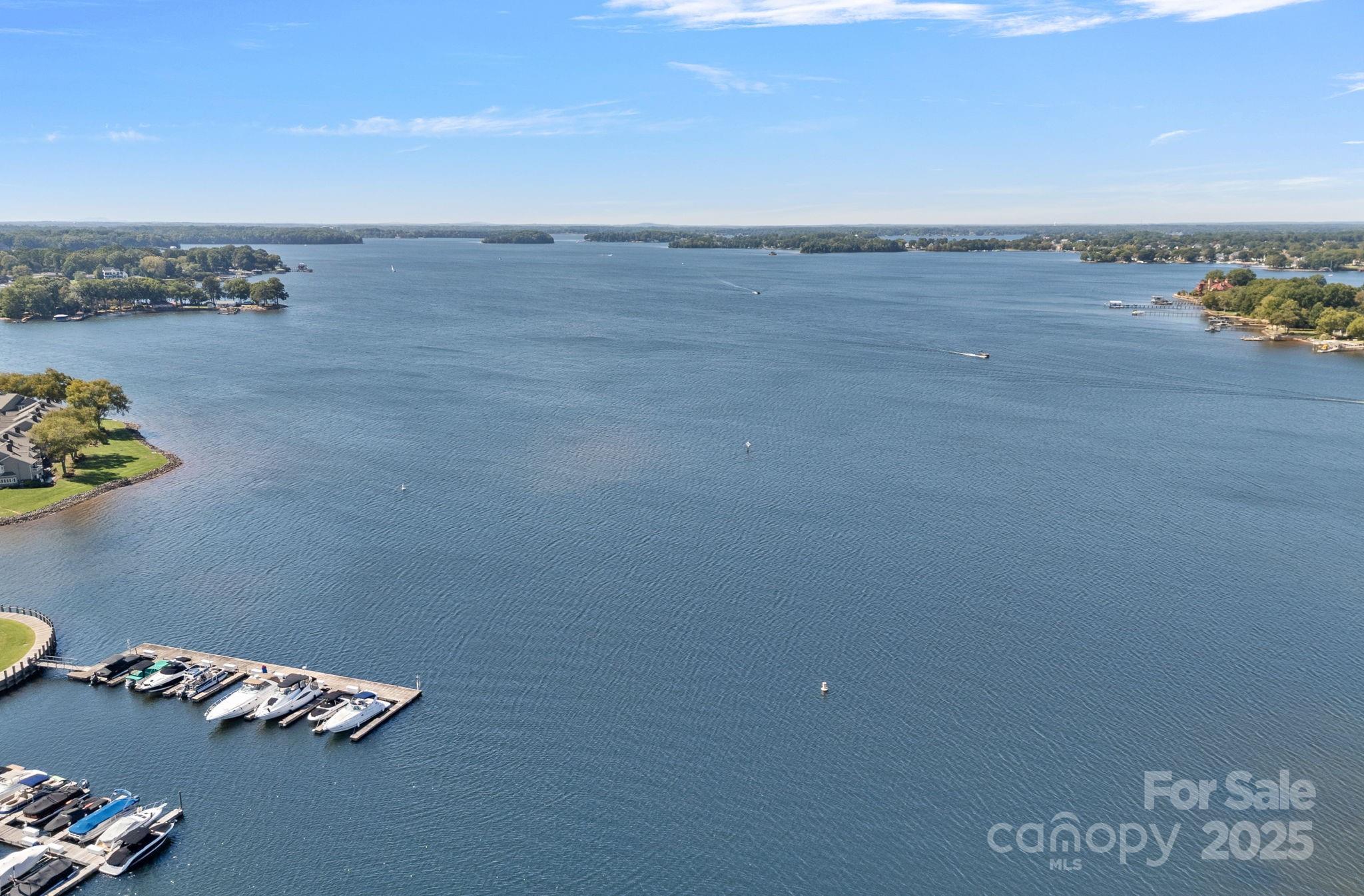 18673 Vineyard Point Lane