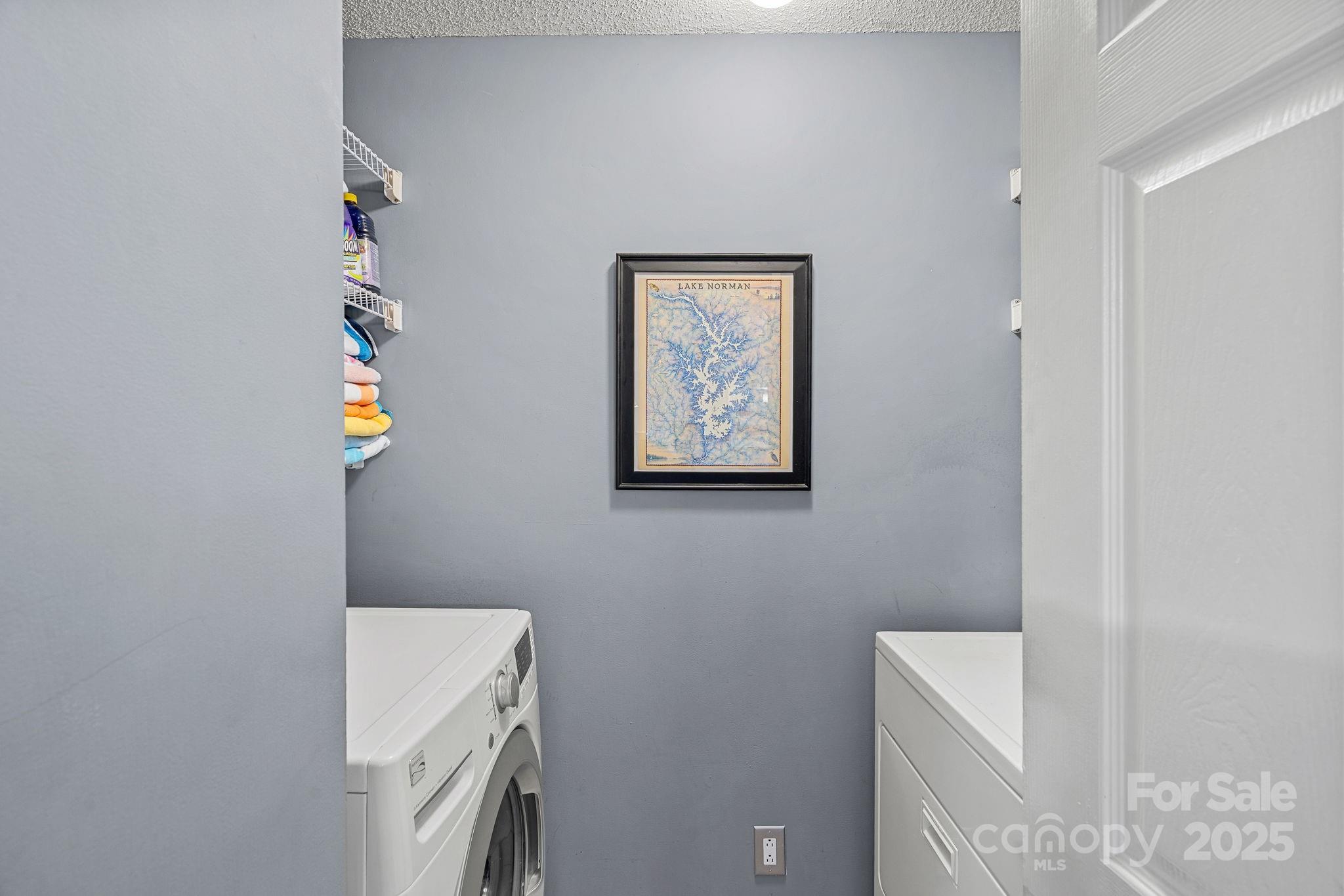 18673 Vineyard Point Lane