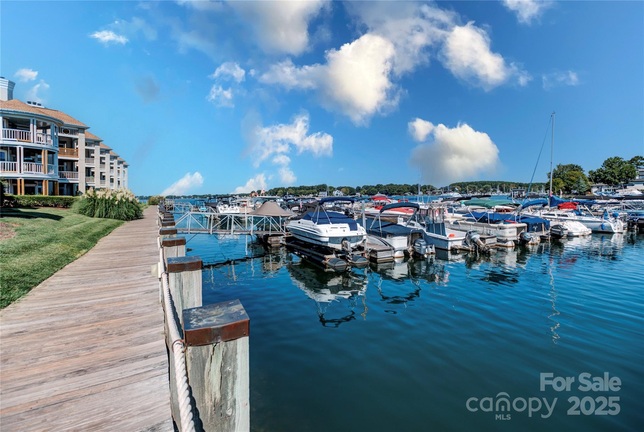 18673 Vineyard Point Lane