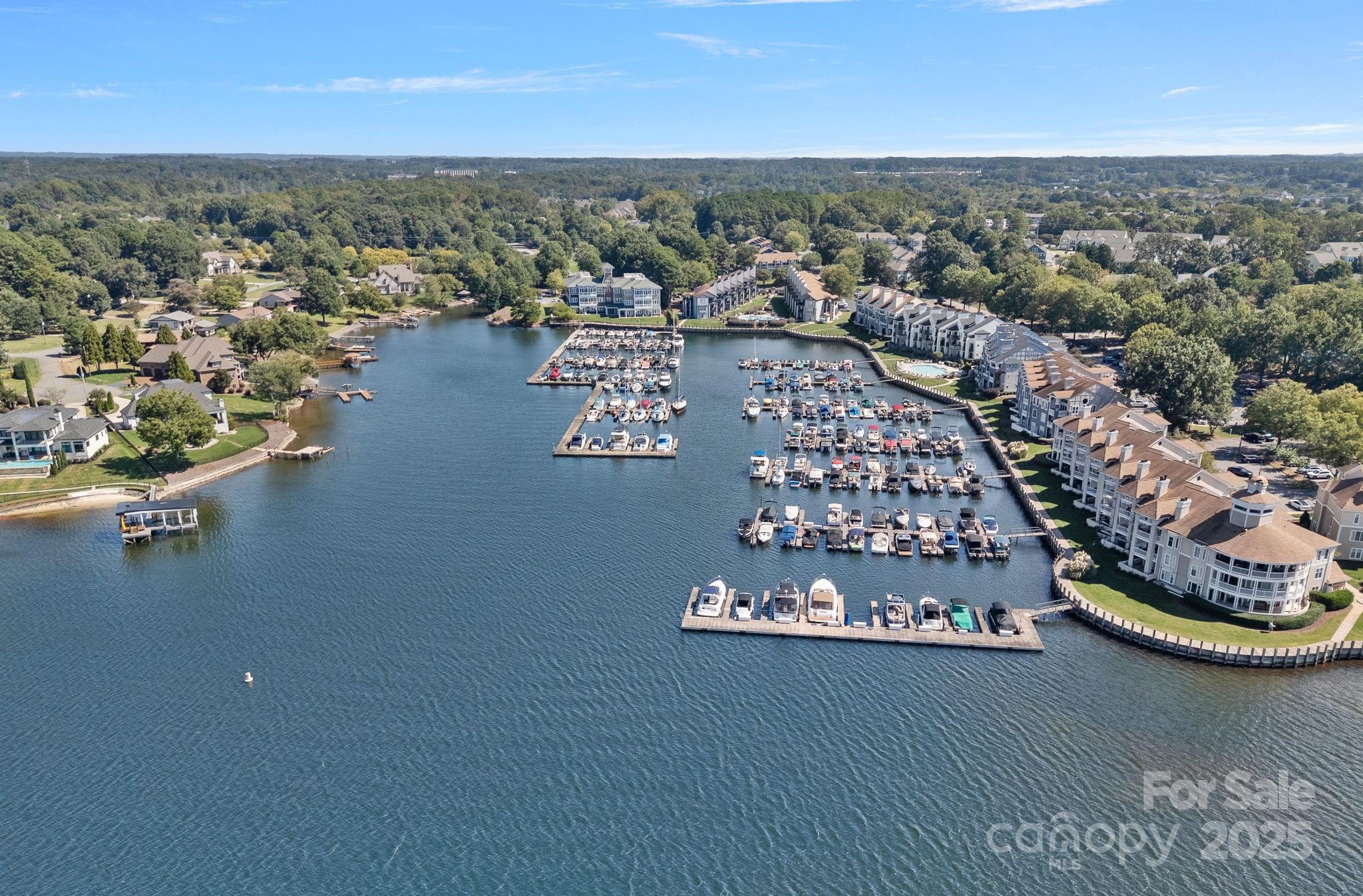 18673 Vineyard Point Lane