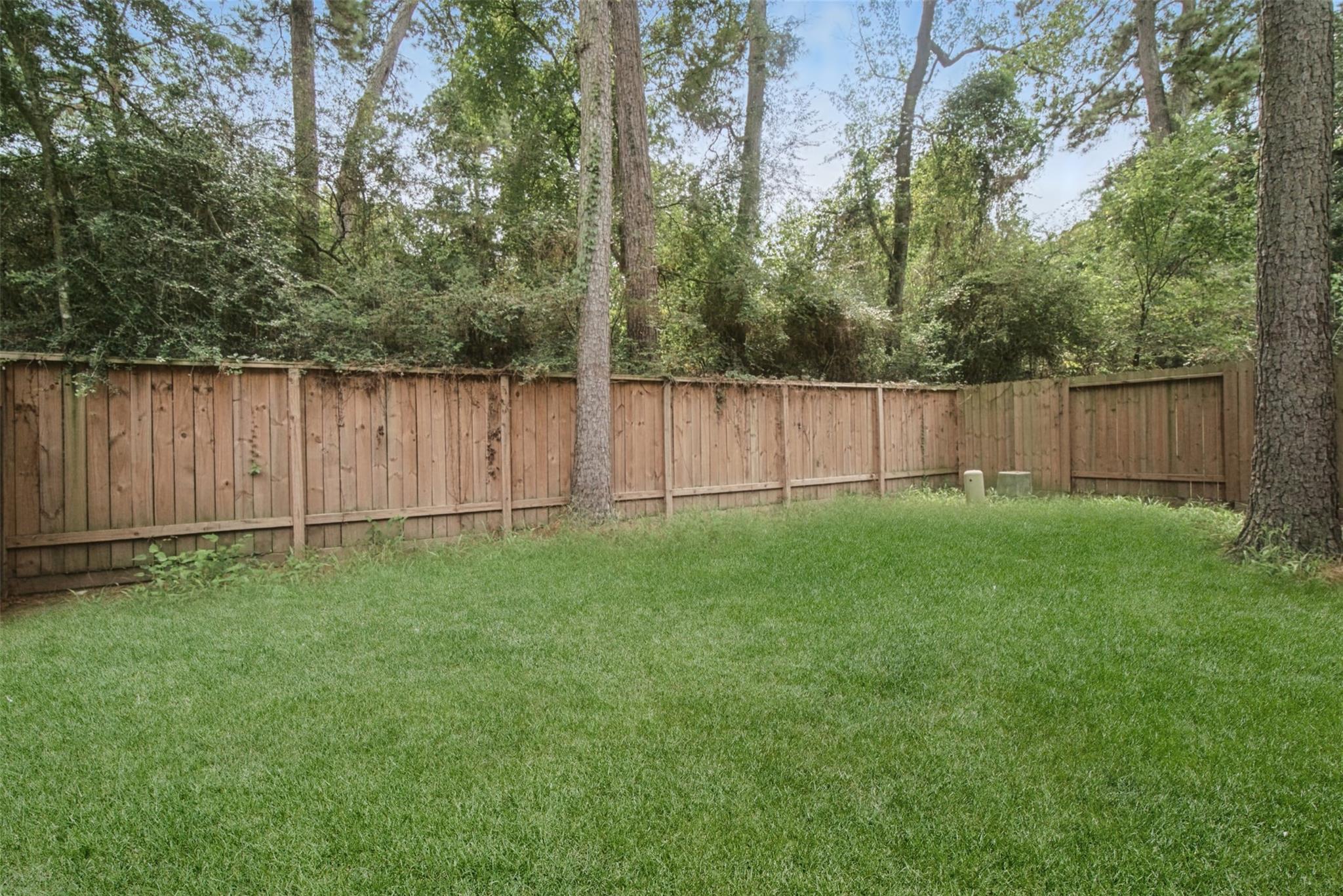 Grassy backyard with a wooden privacy fence and mature trees.