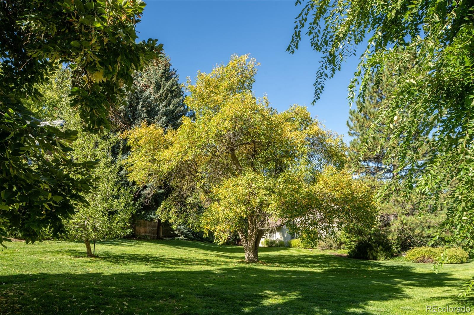 3330 Belcaro Drive