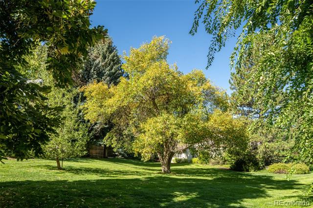 3330 Belcaro Drive