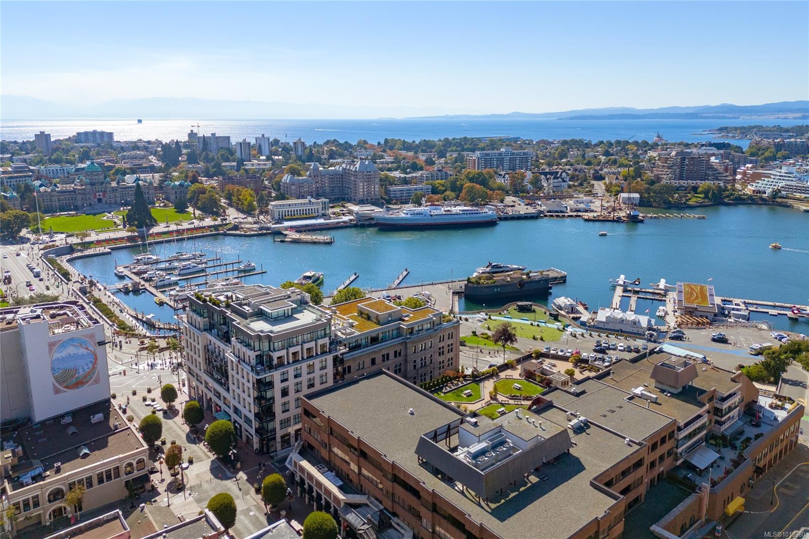 521 Courtney St # 314