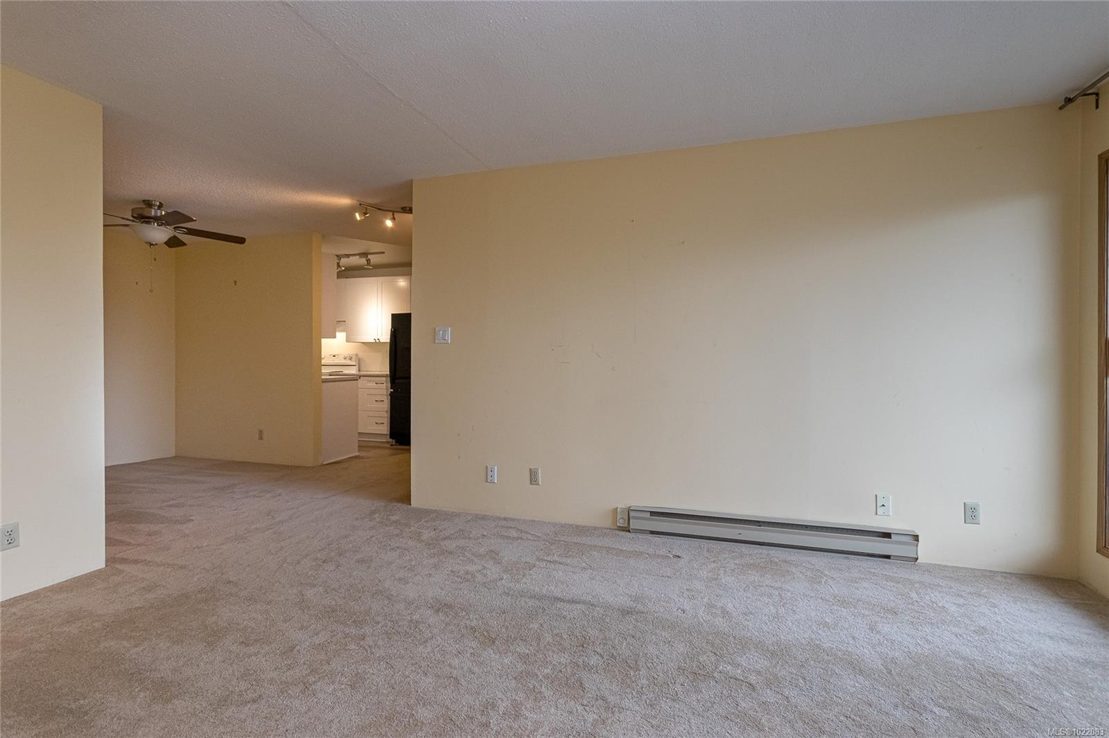 1655 Begbie St # 314