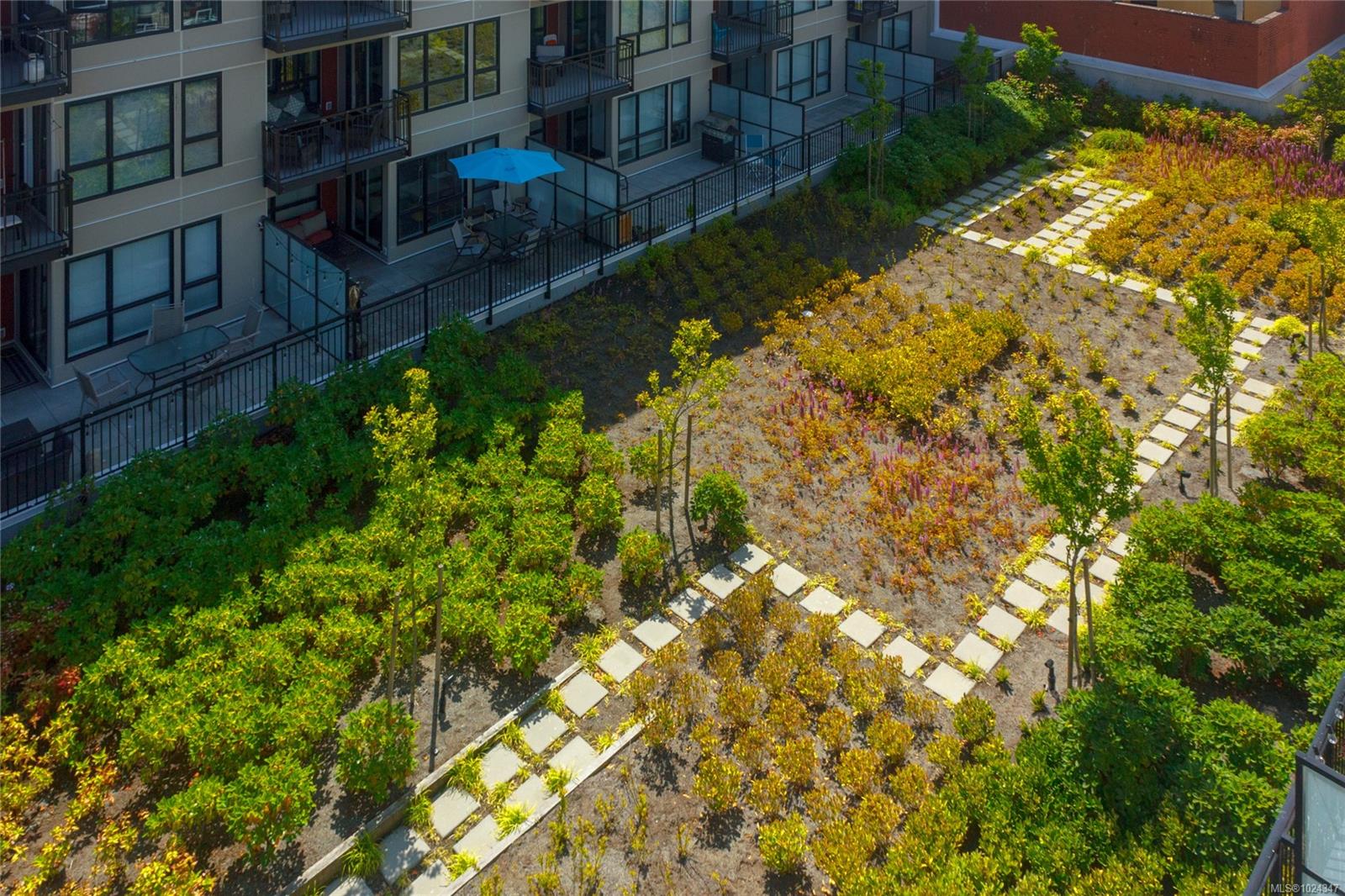 517 Fisgard St # 310