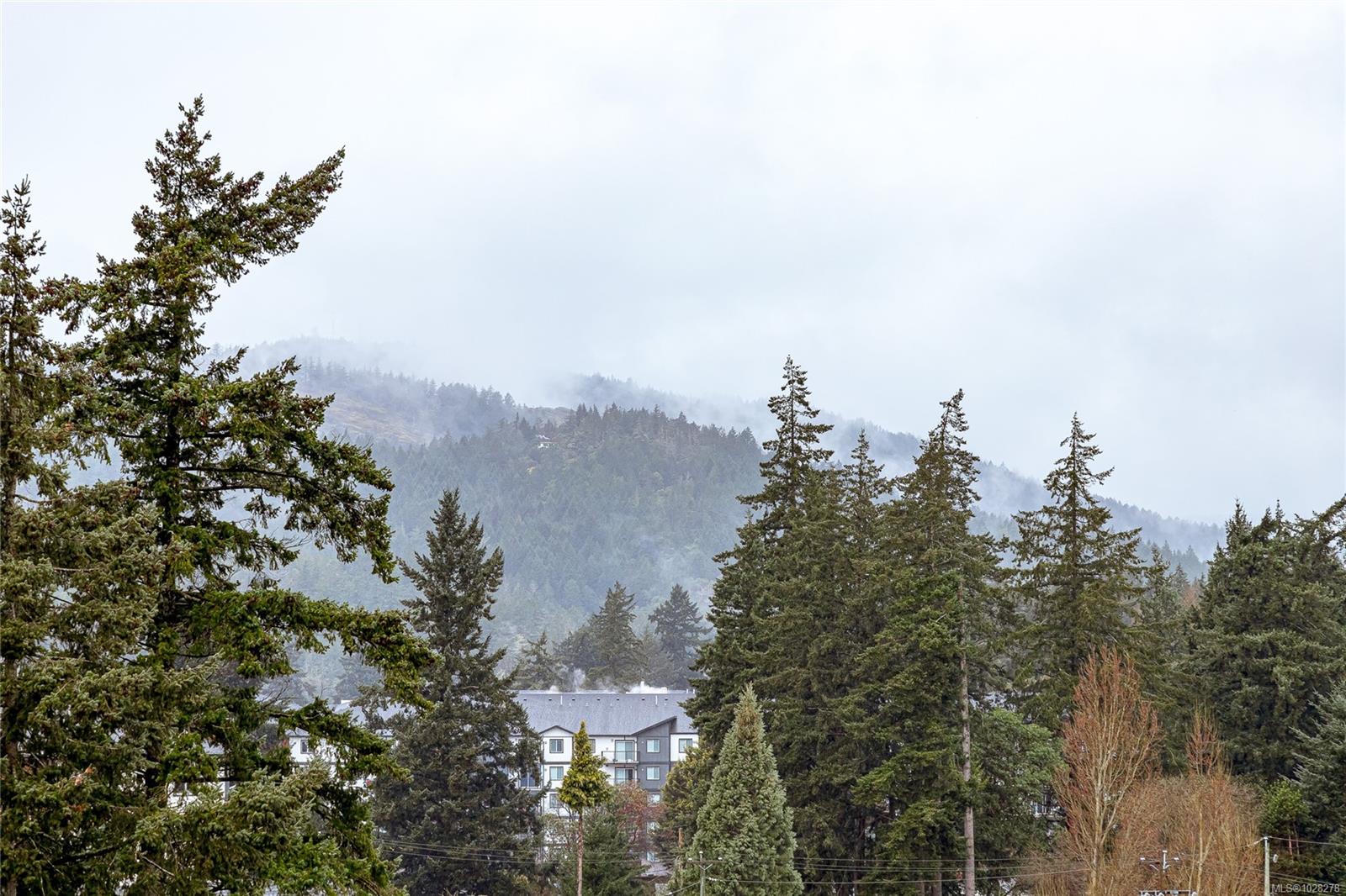 3240 Jacklin Rd # 402