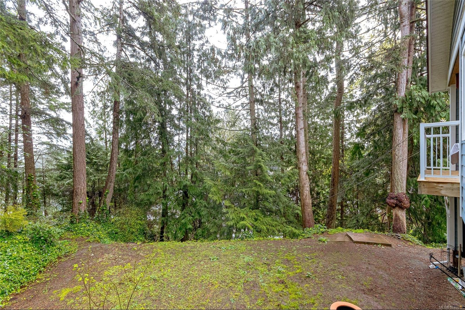 10930 Fernie Wynd Rd