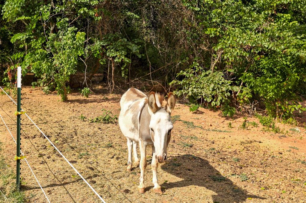 17194 SE 149th Street