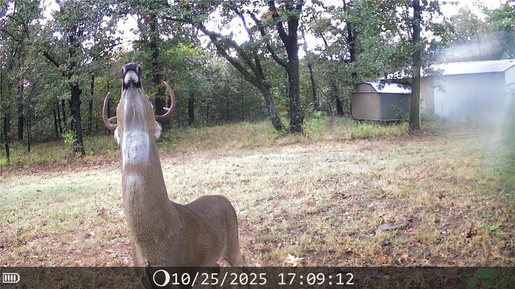 20836 SE 149th Street