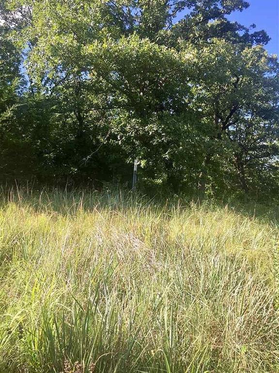 0 S Chickasaw Trail Road