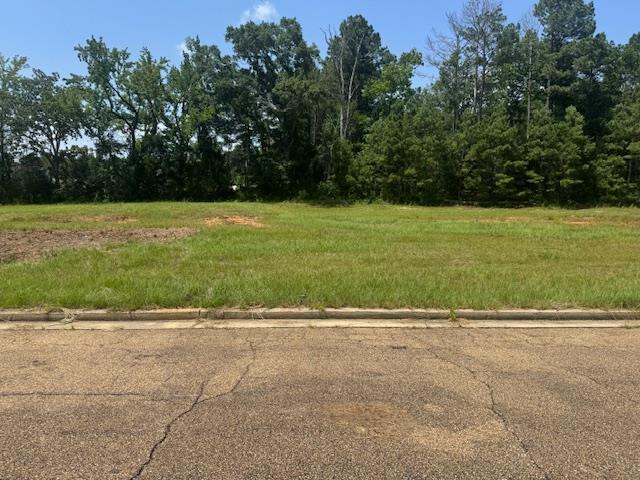 Lot 3 Business Center Drive, McComb