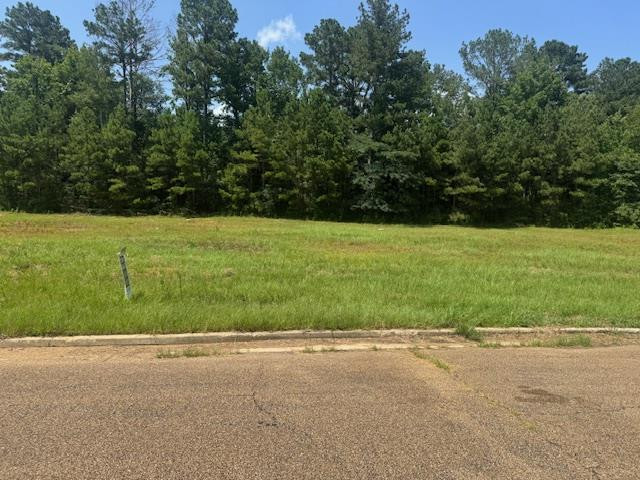 Lot 4 Business Center Drive, McComb