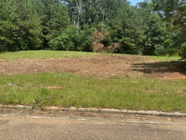 Lot 5 Business Center Drive, McComb