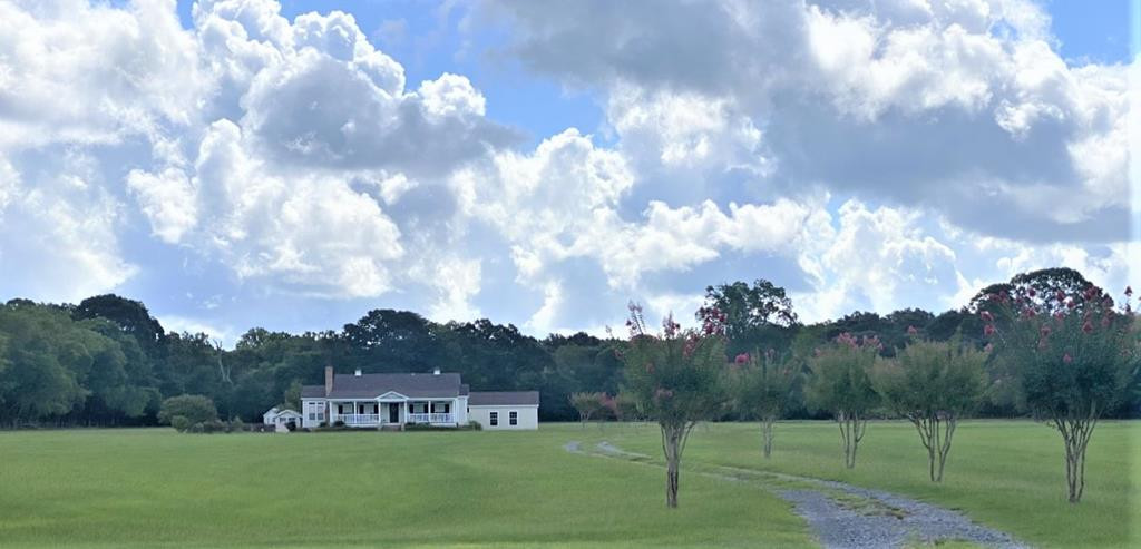 1281 Highway 61 South