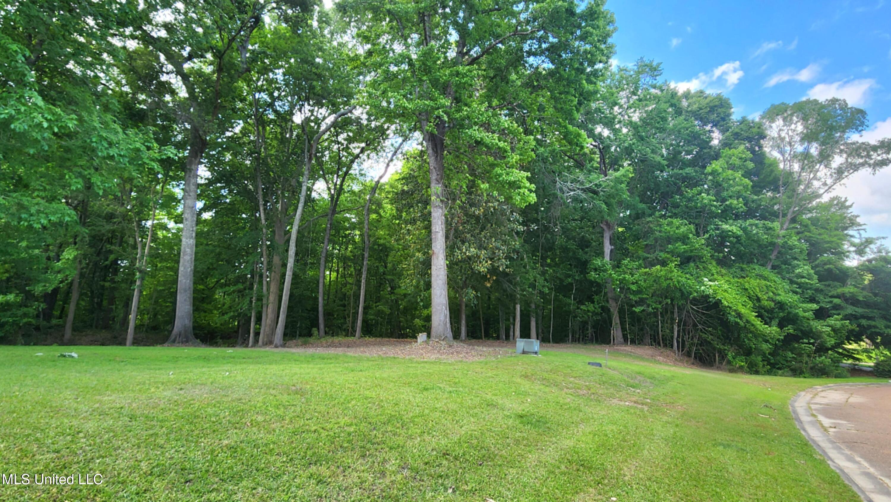 00 Bluff Hills Place