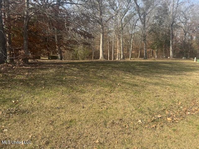 Bluff Hills Place