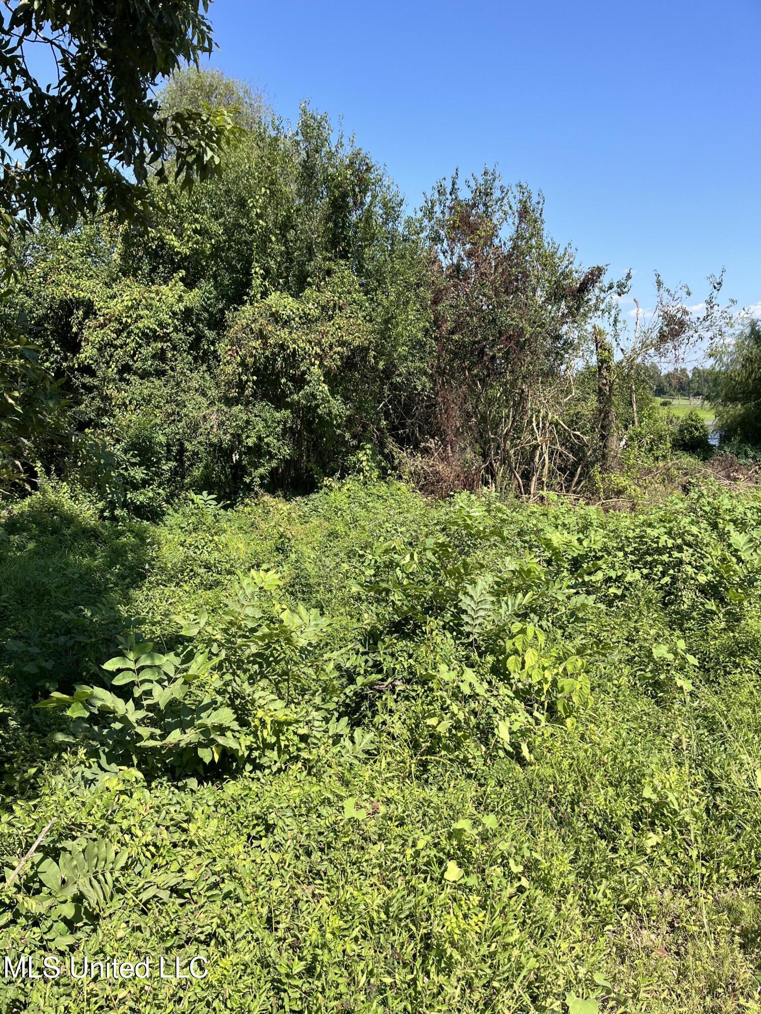 Old River Boat Camp Road