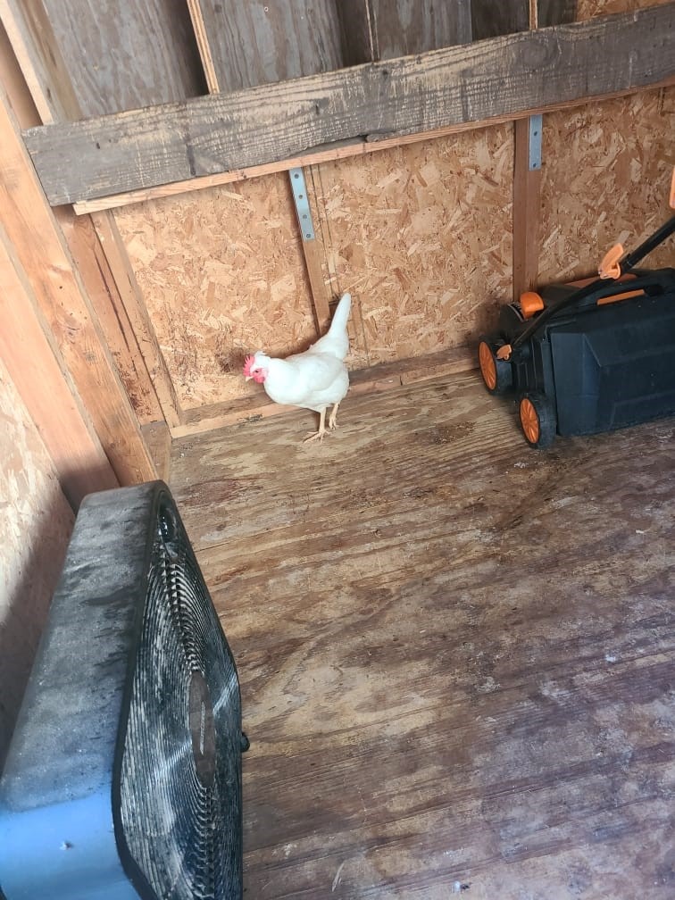 800 Blue Ridge Drive