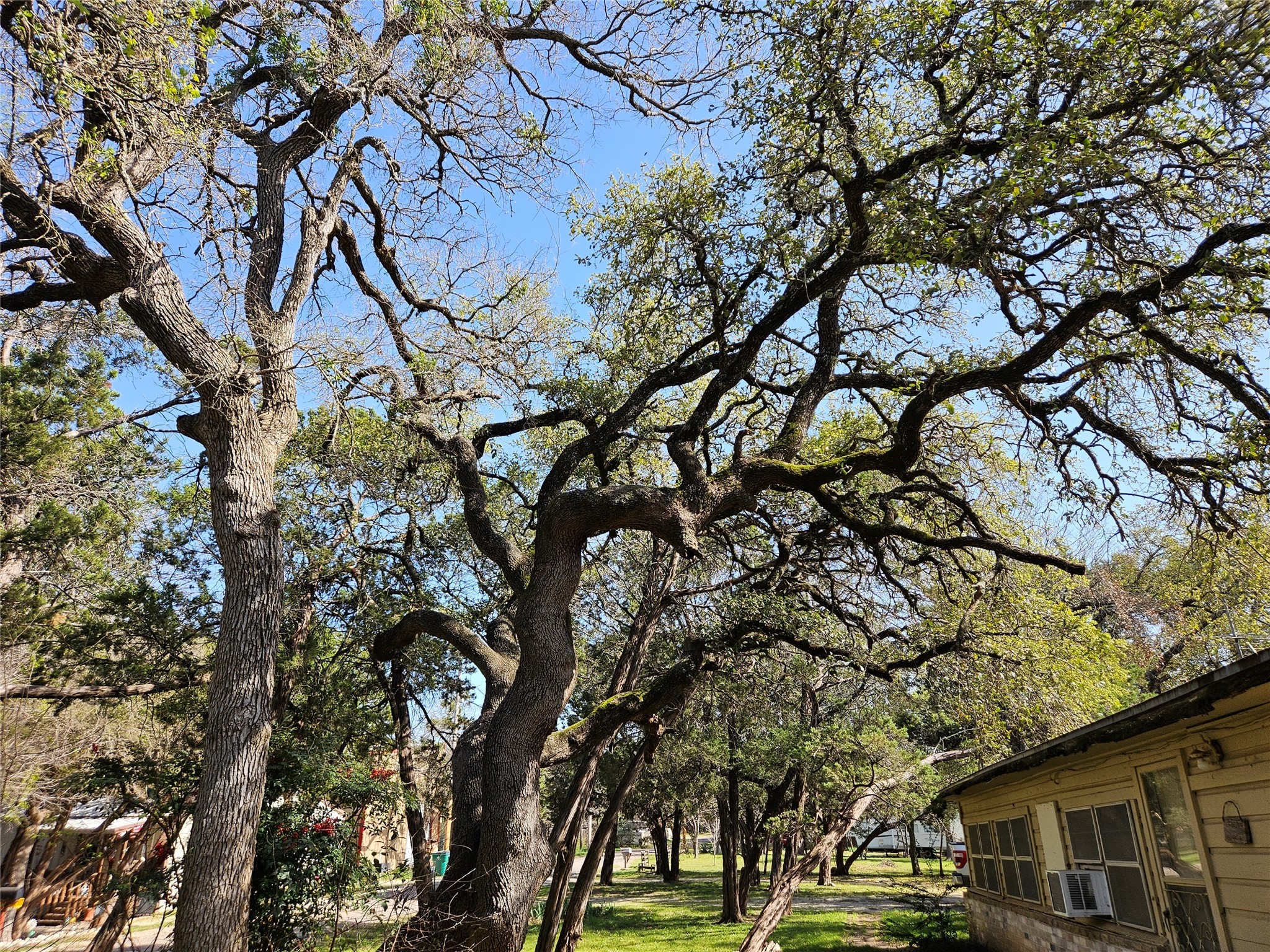 193 County Road 1704