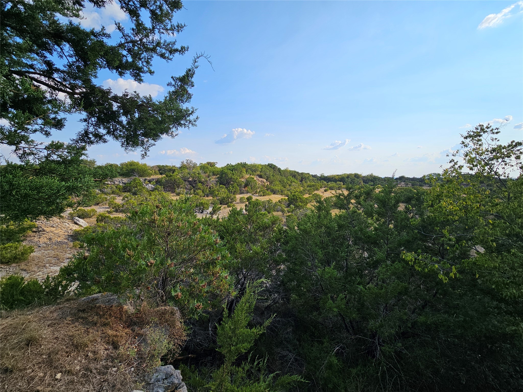 305 County Road 1213