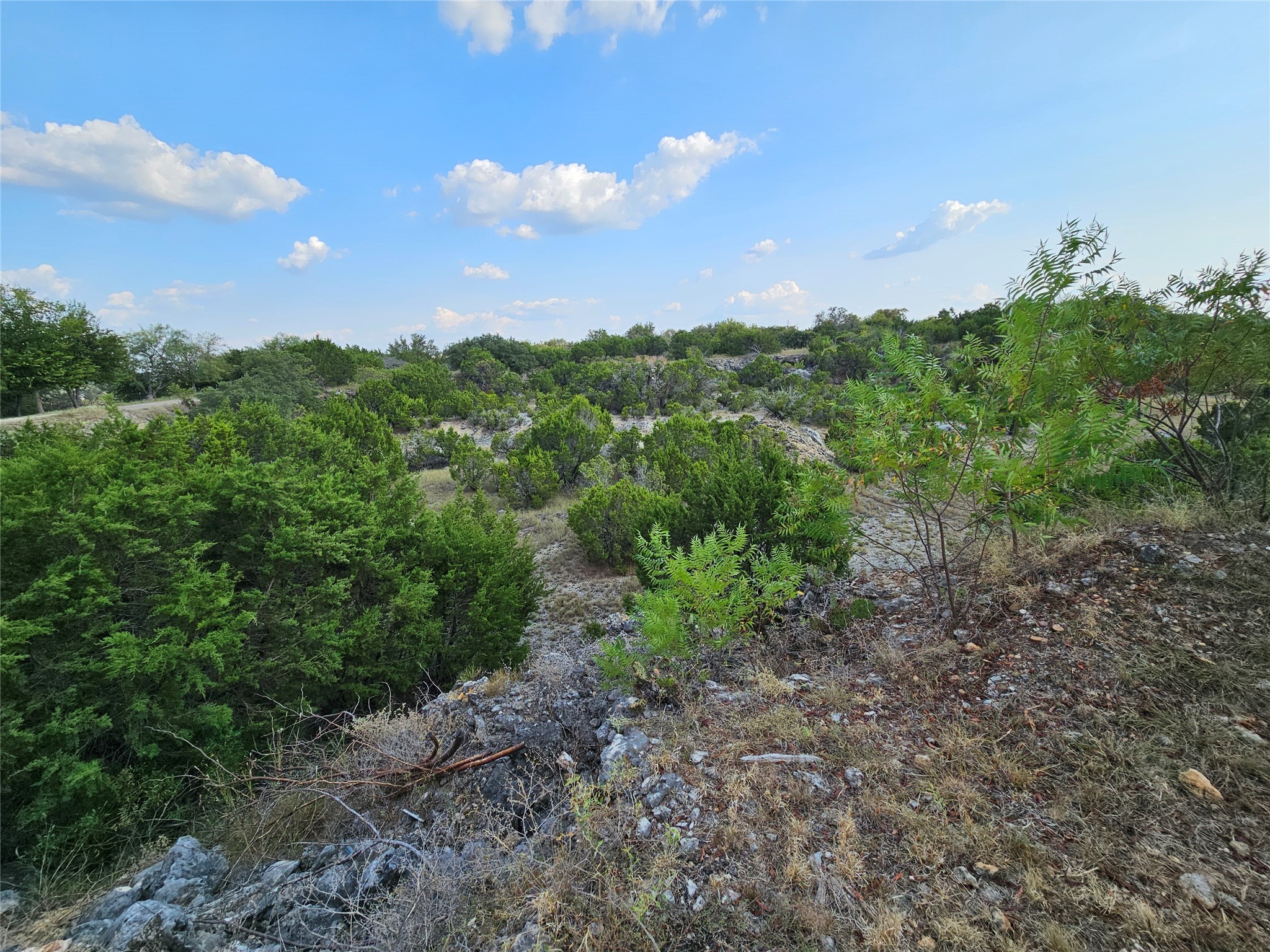 305 County Road 1213