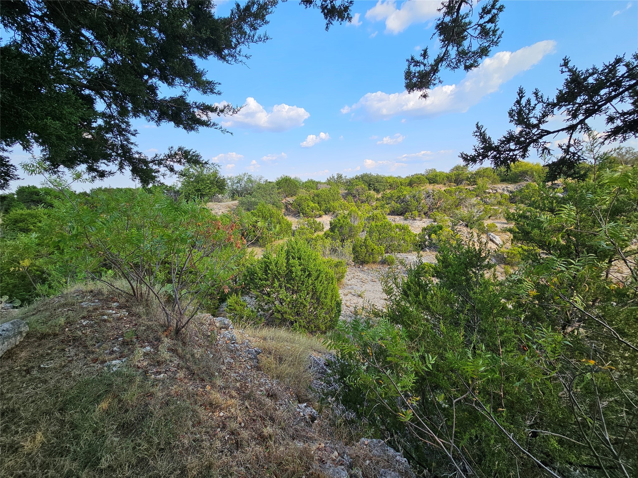 305 County Road 1213