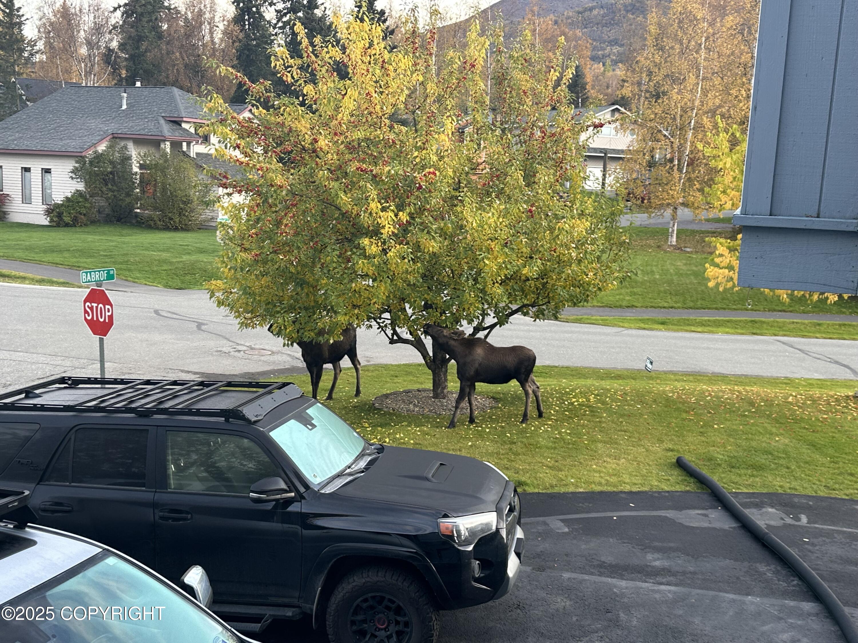 19250 Babrof Drive, Eagle River