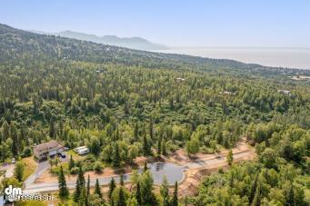 L5 Snow Flake Circle