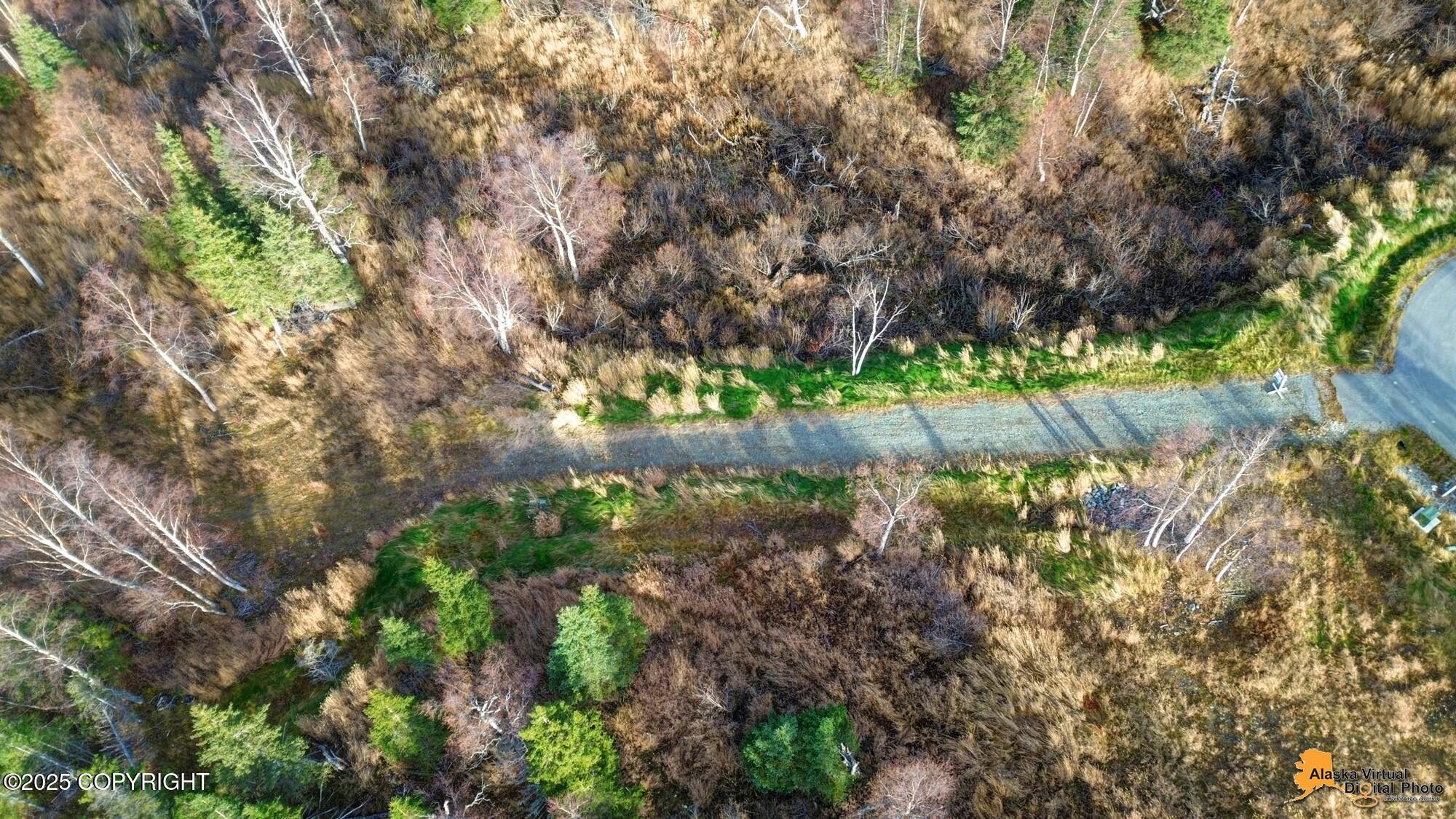 L5 Snow Flake Circle