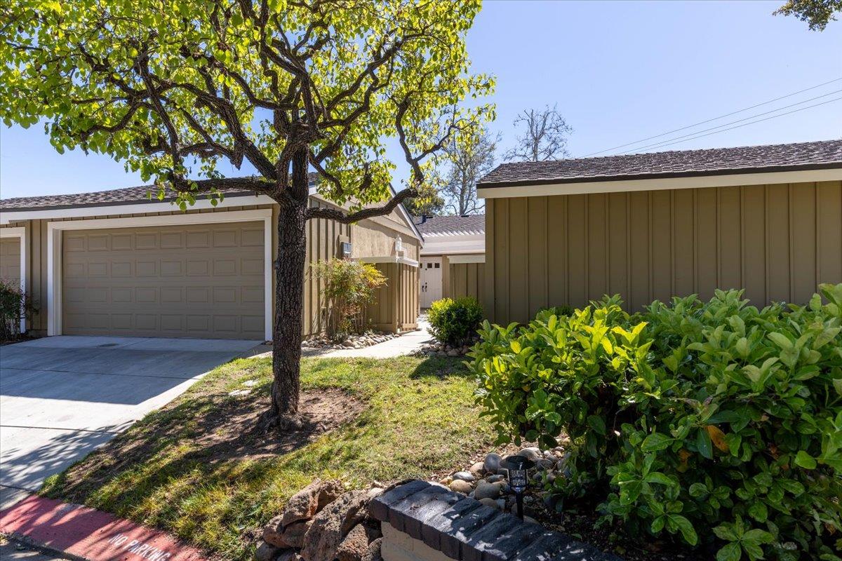 1108 Camber Tree CT