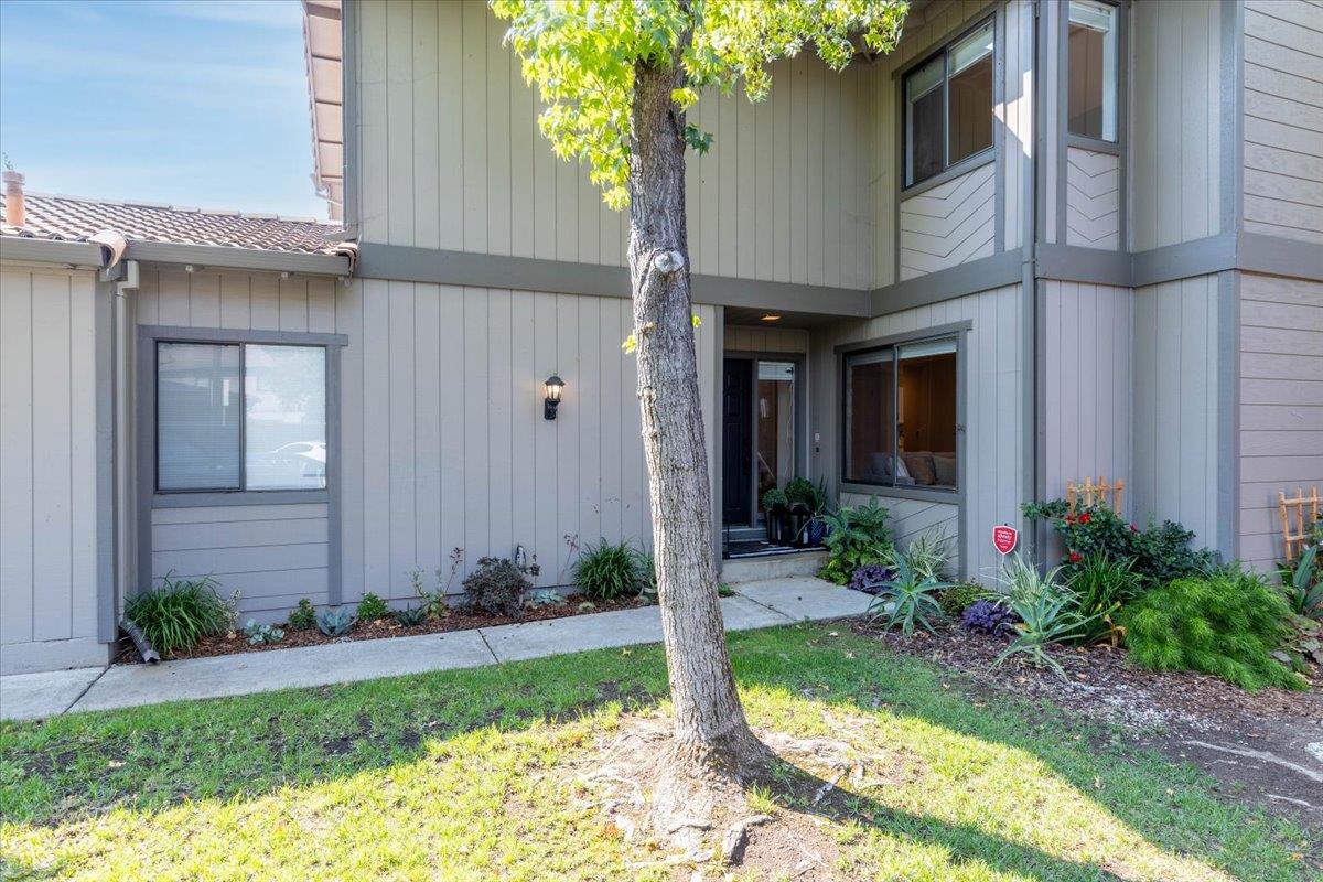 207 Palmer Drive
