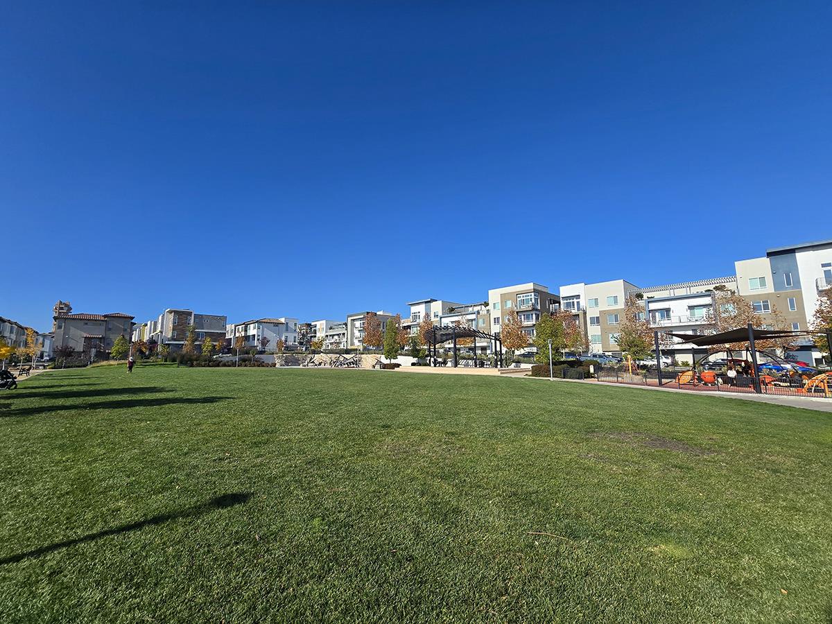 2981 Henry Miller Place 10