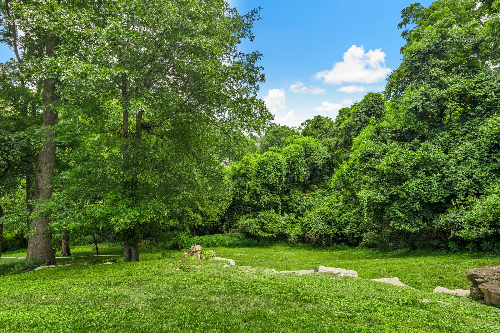 Lush lawn bordered by mature trees and dense greenery at 2415 Carter Ave.