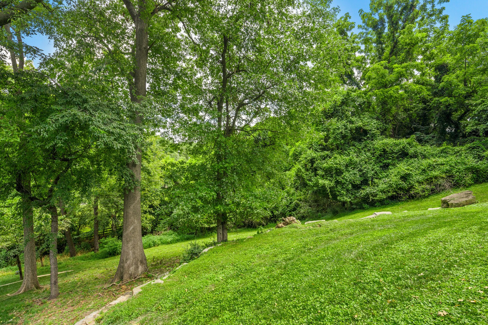 Sloping grassy yard beneath mature trees, bordered by dense greenery and scattered stones.