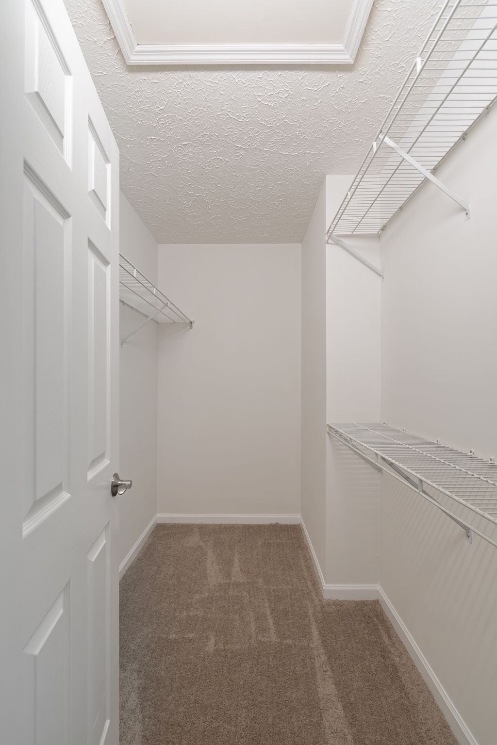908 Celeste Ct