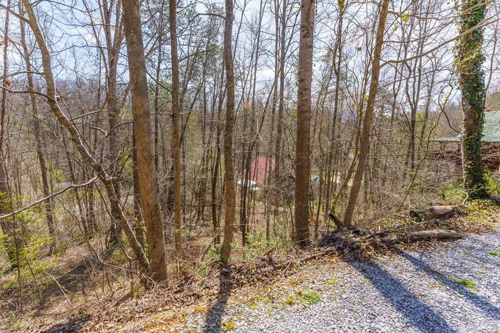 Lot 10 Lake Drive Drive